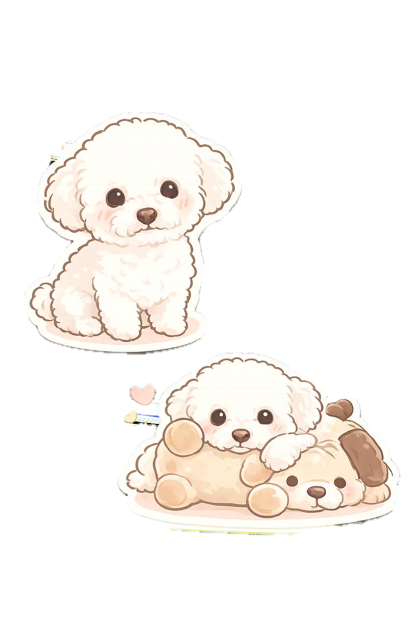 My favourite maltipoo