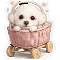 Doggy boy in pram