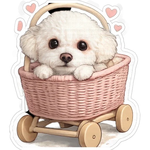 Doggy boy in pram